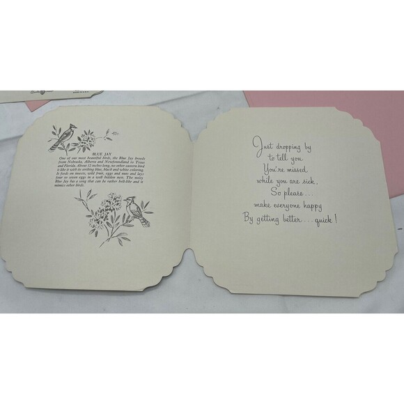 5 VINTAGE QUALITY CREST BEAUTIFUL BIRDS SCENES GREETING CARDS UNUSED ENVLEOPES - Picture 12 of 13